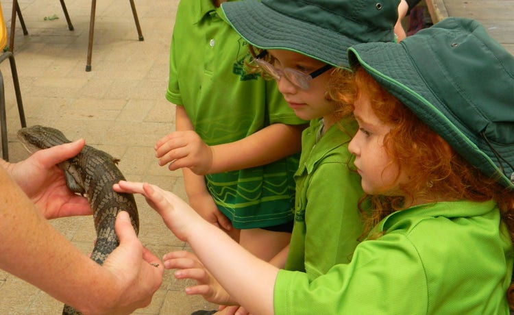 students on excursion patting a lizard